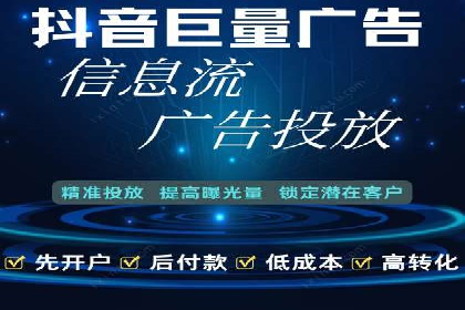 成功SEM服务案例分析报告
